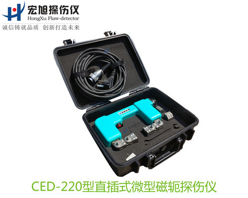 CED220型直插式微型磁轭91麻豆免费观看